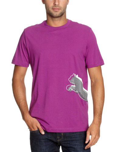 PUMA Herren T-Shirt Large Logo Graphic, byzantium, XL, 817035 08 Preisvergleich