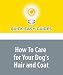 How To Care for Your Dog's Hair and Coat
