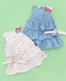 First Impressions Baby Girl Picnic Basket Tiered Voile Dress
