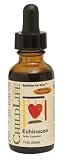 Child Life Echinacea - Orange Flavor AF Extracts 1 Fl Oz.
