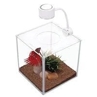Marina CUBUS Glass Betta Kit