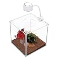 MARINA Betta Kit Cubus LED