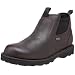 Danner Men's Silverton GTX Brown Outdoor Boot