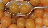Golden Berry 35 Seeds - Easy to Grow