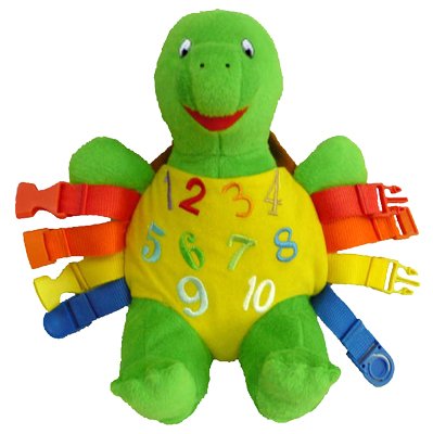 Bucky the Buckle Turtle