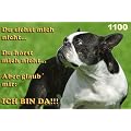Metall - Warnschild Boston Terrier
