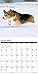 2016 Just Pembroke Corgis Wall Calendar
