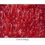 1 Lb Gummy Lobsters