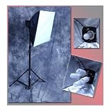 DMKFoto Dual Tungsten / Fluorescent Continuous Studio Light with Softbox and Stand