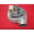 Ferroli Domicompact F24D Fan Assembly 39817550'