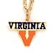 University of Virginia Cavaliers Virginia Tech Hokies NCAA College Sports Team Chain Necklace and Enameled Pendant Sports Team Logo