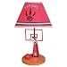 Guidecraft NBA Raptors Lamp