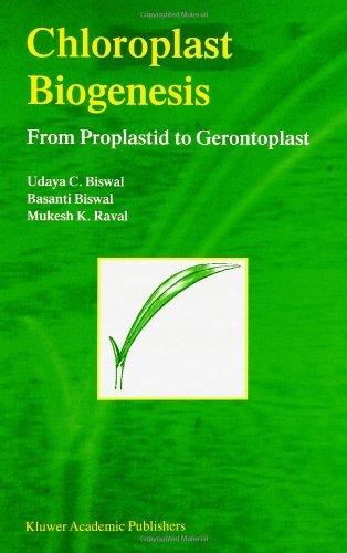 Chloroplast Biogenesis: From Proplastid to Gerontoplast