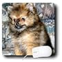 Dogs Pomeranian - Roxy, Pomeranian Puppy - Mouse Pads