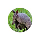 Armadillo Rubber Round Coaster (4 pack)
