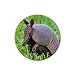 Armadillo Rubber Round Coaster (4 pack)