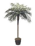 Date Palm Silk Artificial Tree Plant 8'