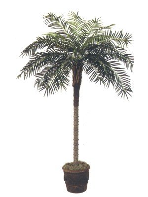 Date Palm Silk Artificial Tree Plant 8'