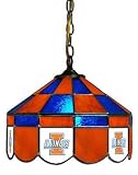 Illinois Fighting Illini 14 Executive Swag Hanging Lamp NCAA College Athletics