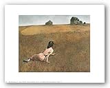 Wyeth : Christina's world