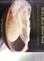 Beth's Basic Bread Book