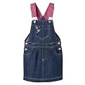 Toddler Girls' Genuine Kids from OshKosh Skirtall - Adriatic Blue