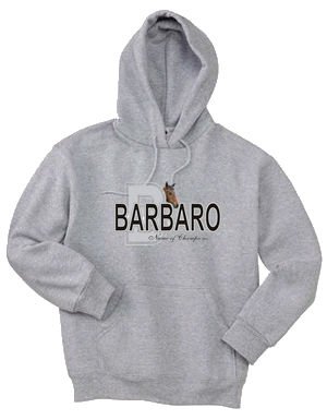 Buy Barbaro Name of Champions Adult Hooded Sweatshirt