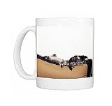 cat-tabby longhair, tabby shorthair Photo Mugs