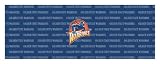 Golden State Warriors Team Auto Rear Window Decal