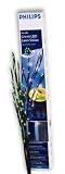 Outdoor Living : Aurelle, 212779 LED Lawn Stakes, with controller, Green