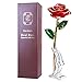 Gold Dipped Rose, Sinvitron Long Stem 24k Gold Dipped Real Rose Lasted Forever with Stand, Best Anniversary Gifts for Her