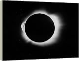 Box Canvas Print of 1919 solar eclipse from Science Photo Library