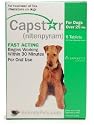 CAPSTAR Green for Dogs over 25 lbs-6 tablets