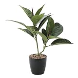 観葉植物 造花 「ゴムの木 47cm」 光触媒(空気清浄) インテリアグリーン 鉢植え