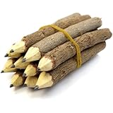 Branch & Twig Graphite Pencil, 3.5 Inches Long, 10-Pack, Fits Nicely in Child's Hand