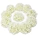 LUSHIDI 10PCS Silk Hydrangea Heads with Stems Artificial Flowers for Wedding Party Home Decor (Off White), One Size Off