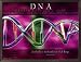 DNA Categories Framed Poster Print, 25x19