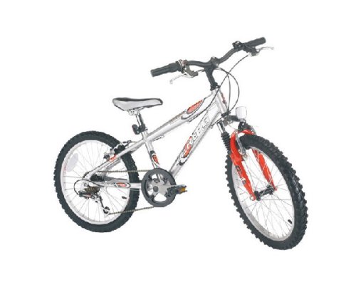 Childrens Toyshop  Toys : RALEIGH Zero G 20" Mountain Bike
