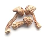Blazei/Brazilian Caps - 1 Lb Bag / Box Each