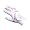 Paragon Rising Star Junior Kids Golf Gloves Girls (Small, Right (for Left-Handed Golfers))