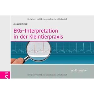 EKG-Interpretation in der Kleintierpraxis
