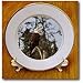 Bald Eagle Resting on a Branch in the Boreal Forest - 8 Inch Porcelain Plate