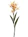 38 Butterfly Ginger Spray Yellow Orange (Pack of 6)