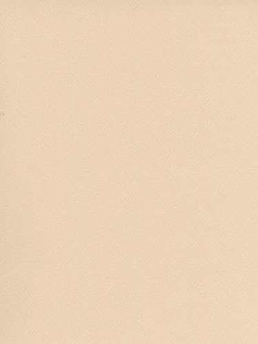Canson Mi-Teintes Tinted Paper egg shell 19 in. x 25 in. [PACK OF 10 ]