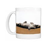 cat-tabby shorthair Photo Mugs