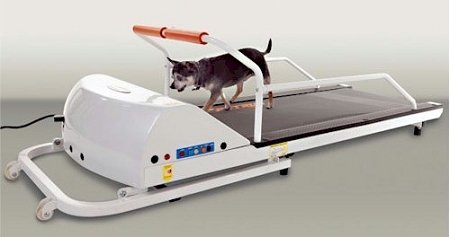 recumbent exercise bike-Dog Supplies Petrun Pr710 Dog Treadmill