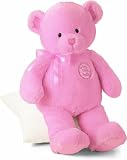 Gund Baby 20 My First Teddy - Pink