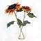 Sunflower in Glass Vase - 13"