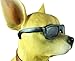 Private Label Cool Chillin`` Chihuahua Dog Welcome Statue