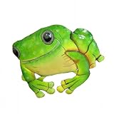 Rainforest Frog Metal Wall Decor Painted in Haiti